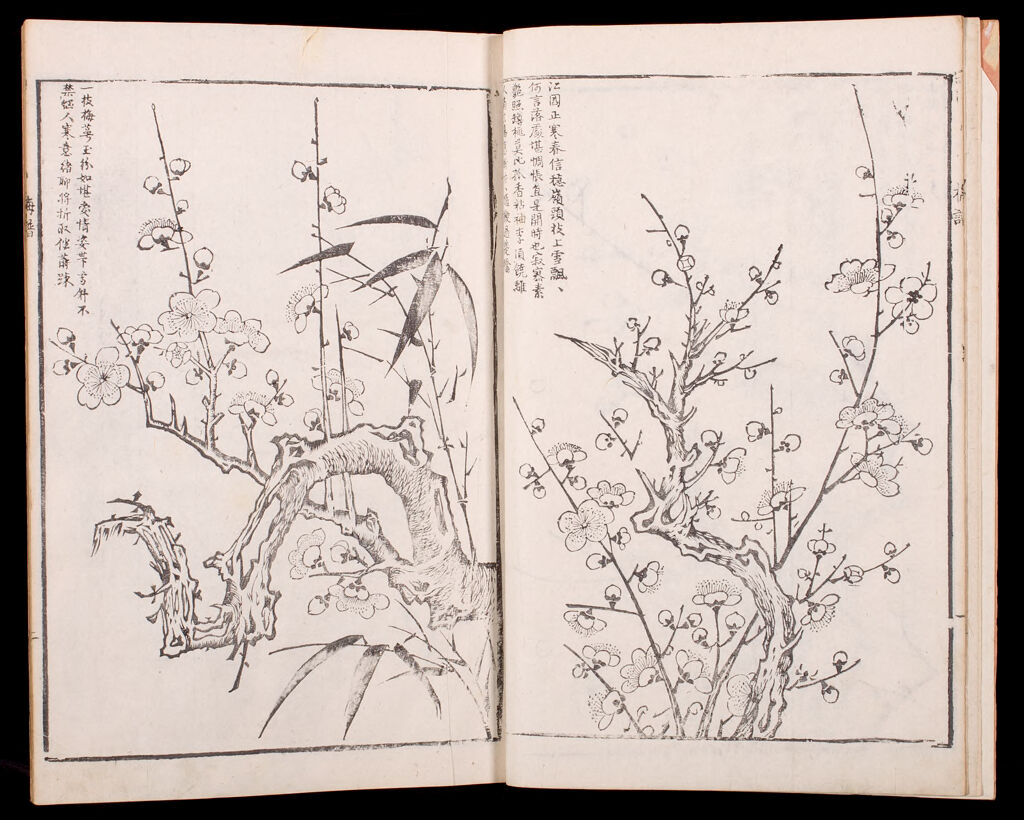 Tang Yin's Manual Of Ancient And Modern Paintings (Tang Jieyuan Fang Gujin Huapu)