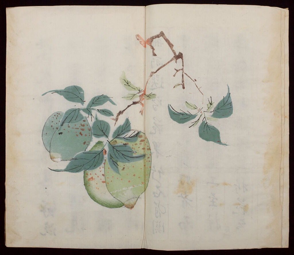 Ten Bamboo Studio Manual Of Calligraphy And Painting (Shizhuzhai Shuhua Pu): Volume 13