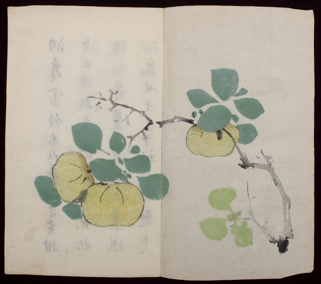 Ten Bamboo Studio Manual Of Calligraphy And Painting (Shizhuzhai Shuhua Pu): Volume 14