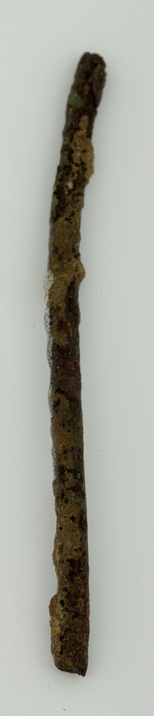 Fragment Of A Pin Shaft