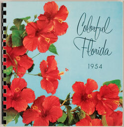 Colorful Florida Engagement Calendar
