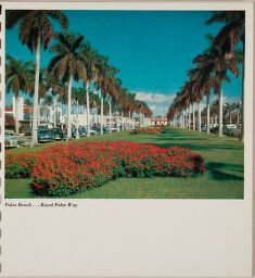 Palm Beach ... Royal Palm Way