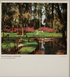 Oriental Gardens - Jacksonville
