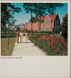 University Of Florida - Gainesville