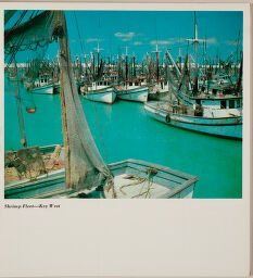Shrimp Fleet - Key West