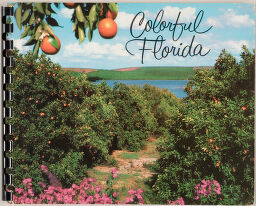 Colorful Florida