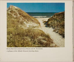 Dunes Between Jacksonville Beach And St. Augustine