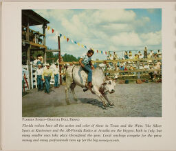Florida Rodeo - Brahma Bull Riding