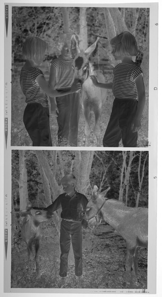 Untitled (Medium Format Images Of Children Playing With Donkeys Outdoors)