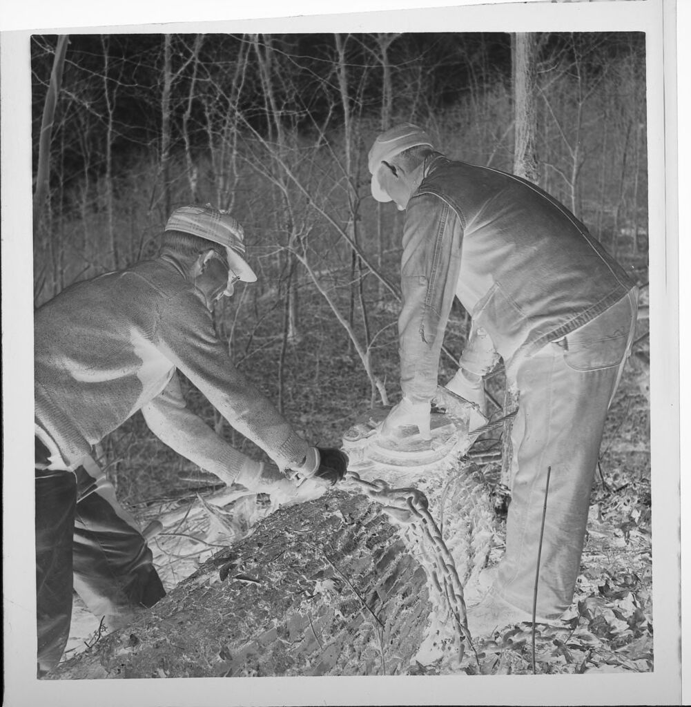 Untitled (Men Cutting And Moving Large Logs)