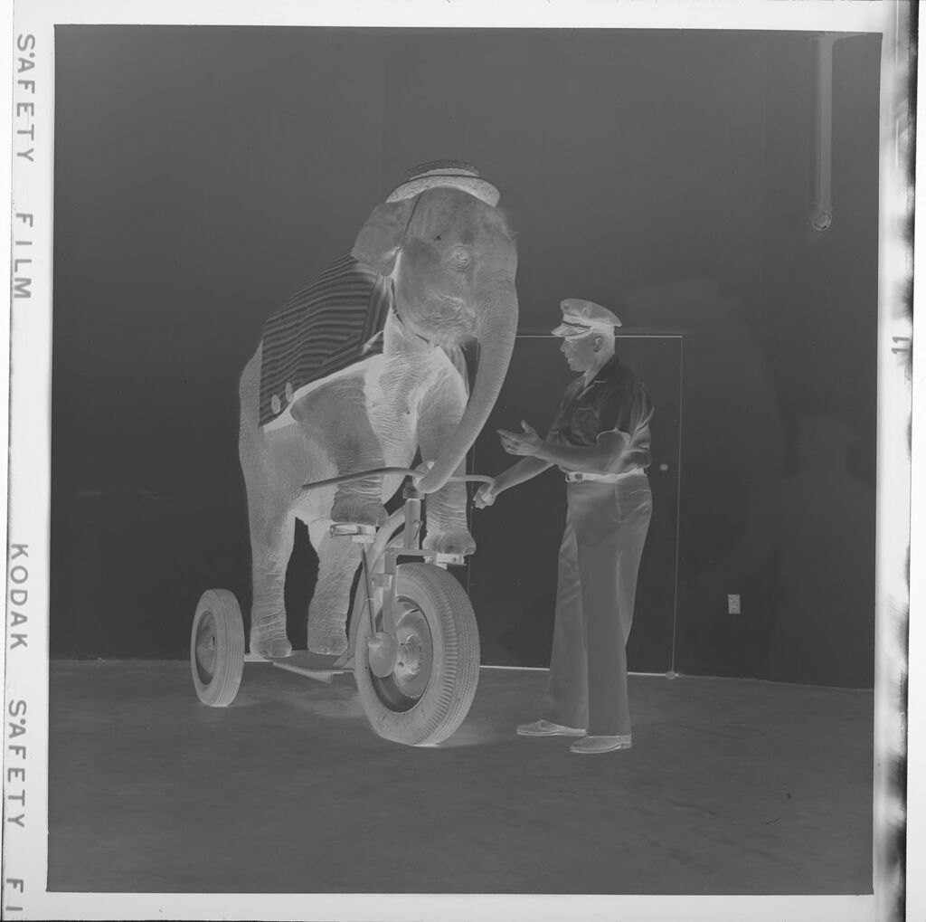 Untitled (Man With Elephant On Tricycle)