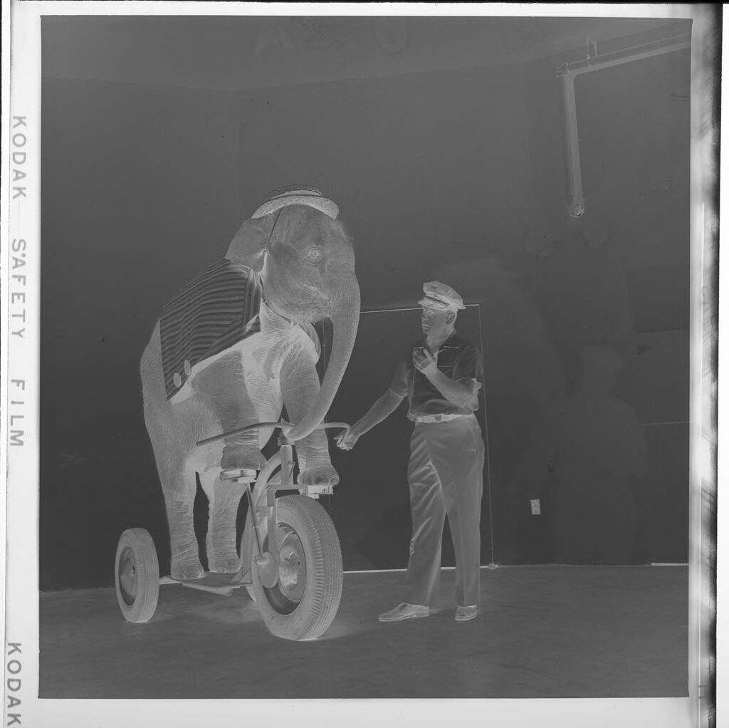 Untitled (Man With Elephant On Tricycle)