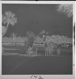 Untitled (Familes In Palm Tree Lined Park)