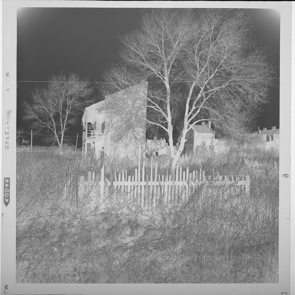Untitled (Empty Lot With Small House Overgrown With Weeds)