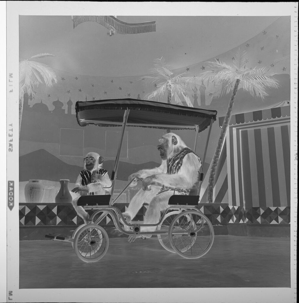 Untitled (Chimp And Monkey Performing Tricks On Cart)