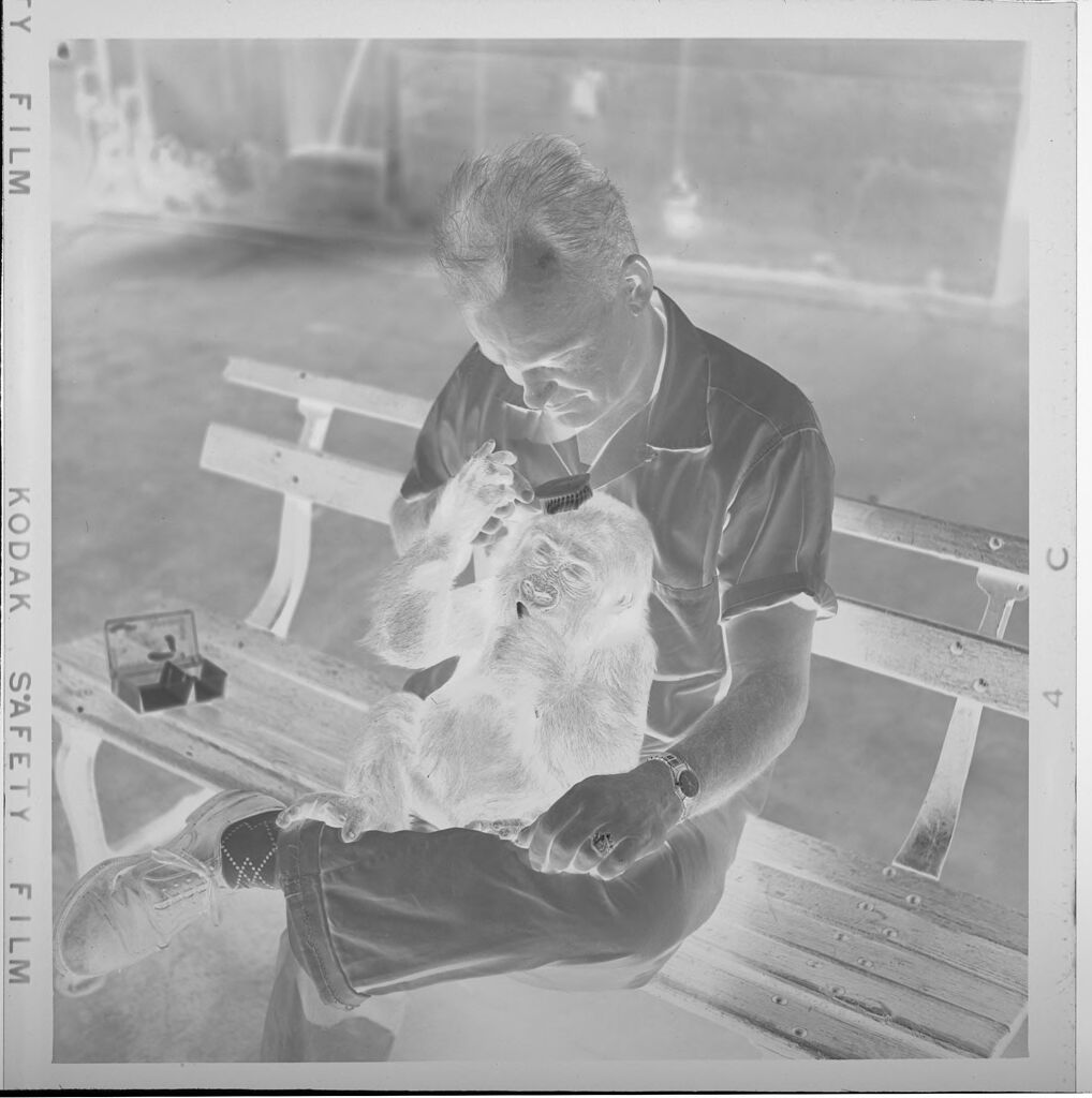 Untitled (Man With Baby Chimp)
