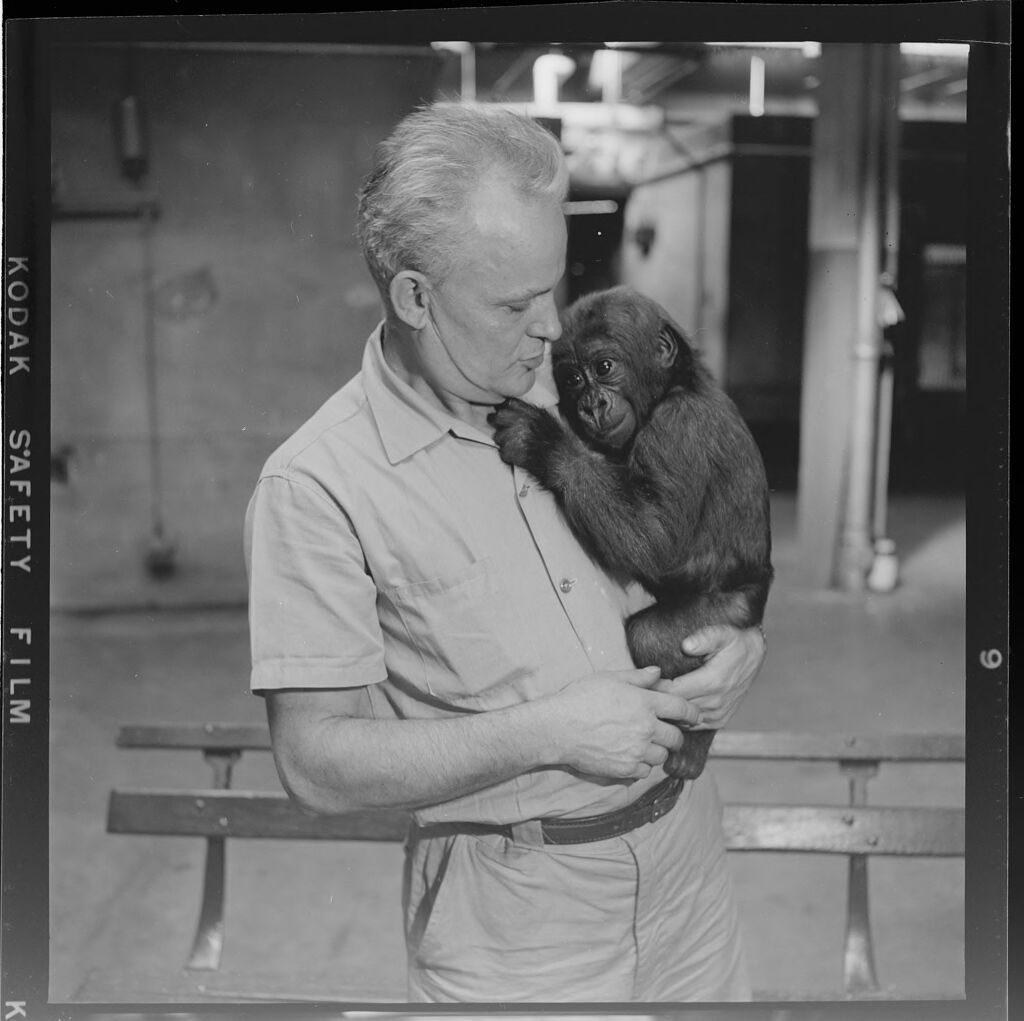 Untitled (Man Holding Baby Chimp)