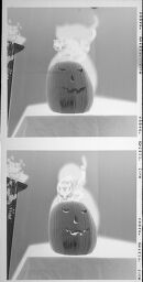 Untitled (Black Cat On Top Of Carved Pumpkin, Top)