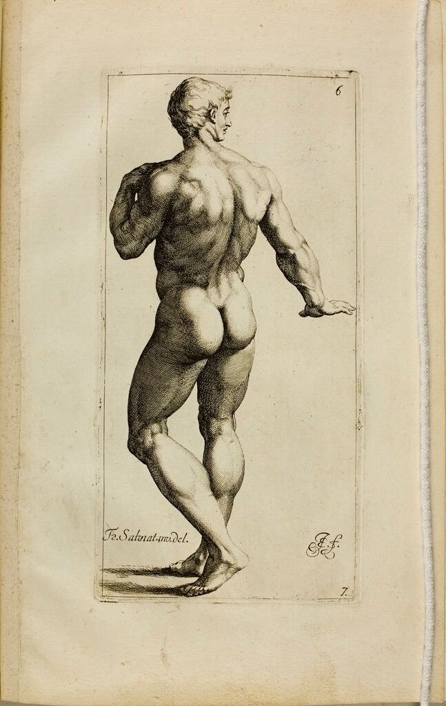 Plate 6: Standing Male Nude, Seen From The Back