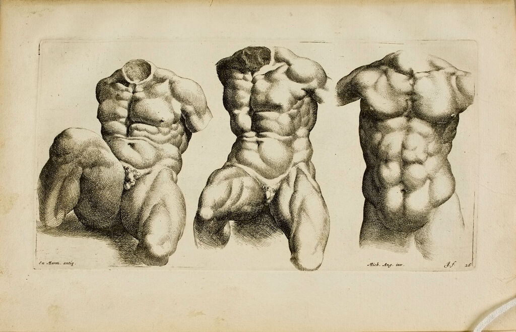 Plate 26: Three Male Torsos