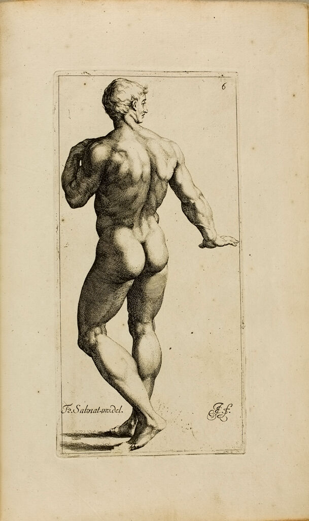 Plate 6: Standing Male Nude, Seen From The Back