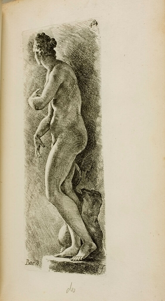 Plate 48: Aphrodite, Known As The Venus De' Medici