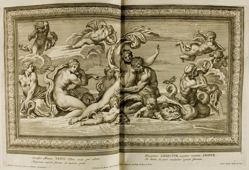 Galeriae Farnesianae: Venus And Triton