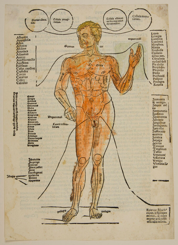 Nude With Marginal List Of Various Diseases