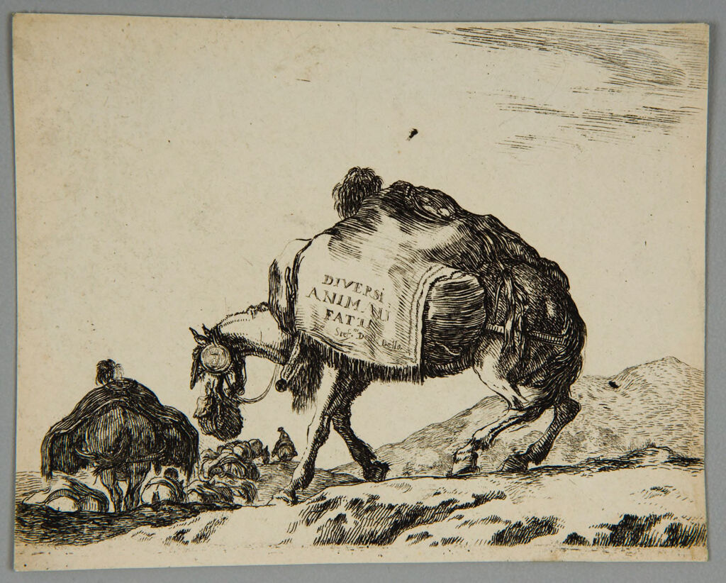 Donkey With A Pack