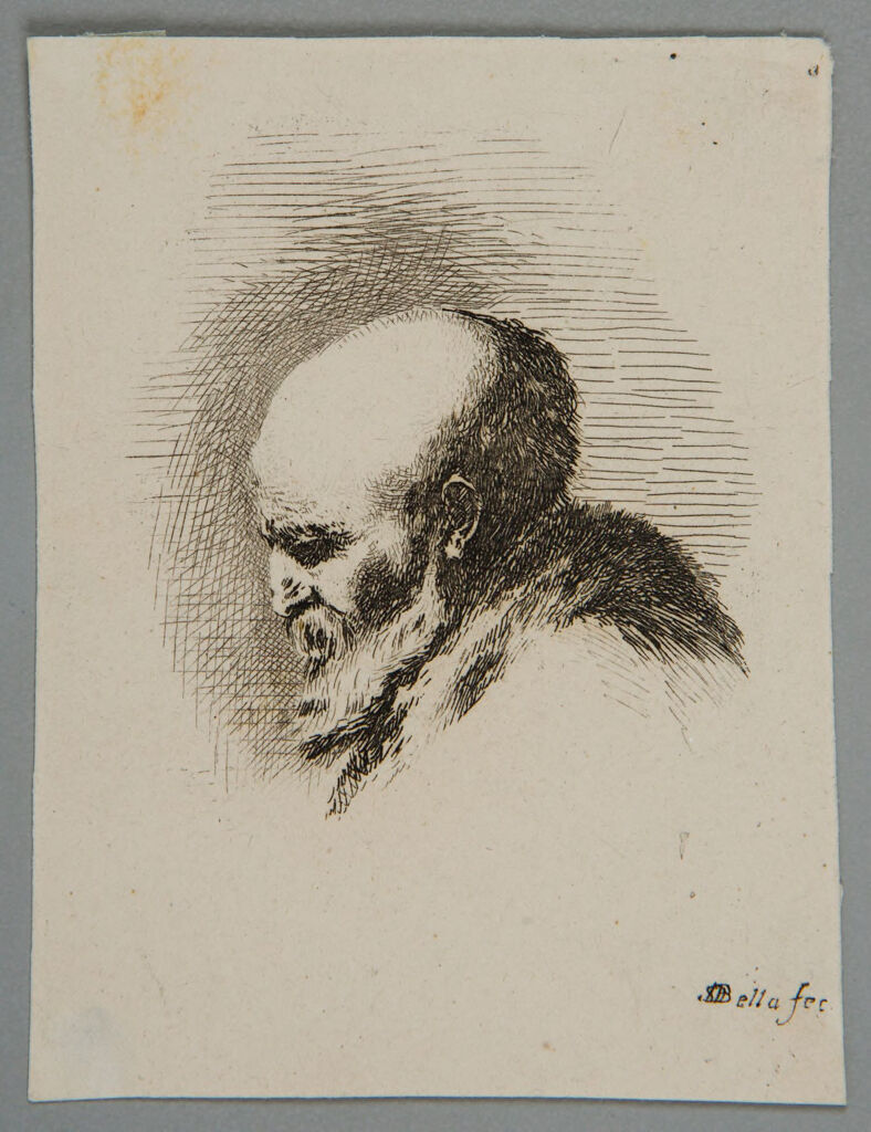 Head Of An Old Man
