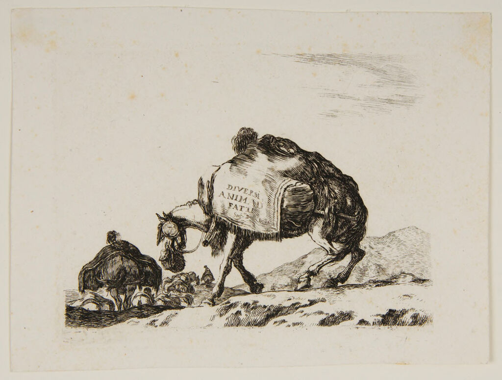 Donkey With A Pack