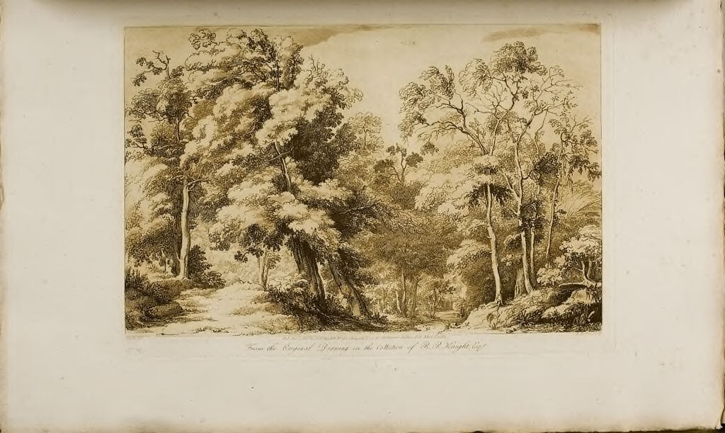 A Study, Wooded Scene