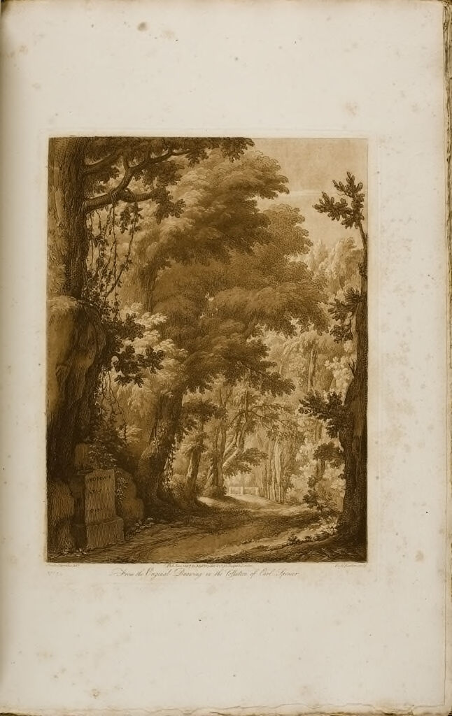 A View From Nature, Wooded Scene