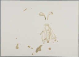 Untitled (Bee) From The Portfolio 