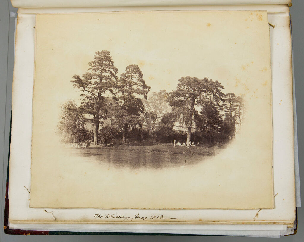 Untitled (Group Of Seven People Seated Under Tree, Labeled The Whittern, May 1868; Verso: Blank)
