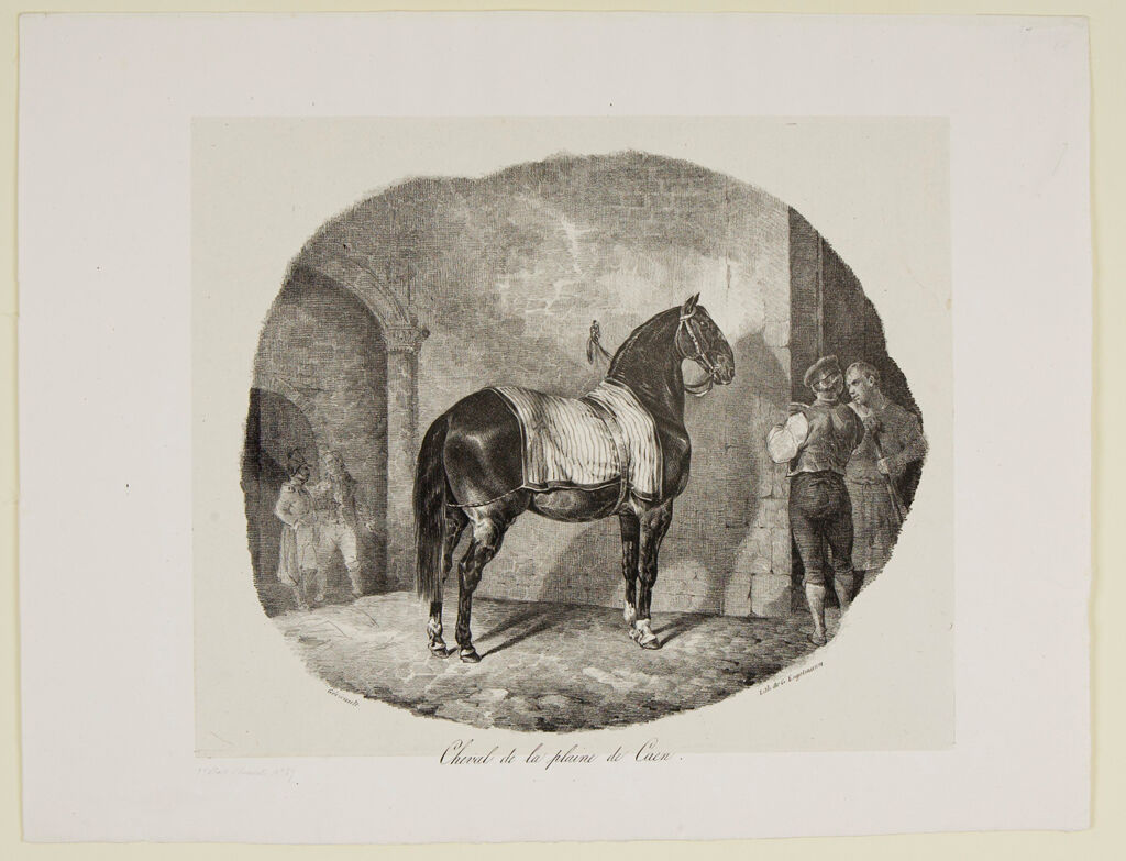Horse From The Caen Plain