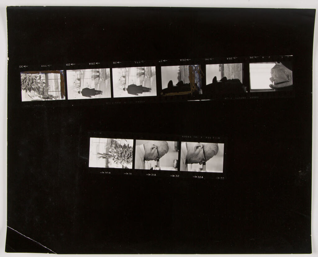 Untitled (Dr. Herman M. Juergens: Walking Outside; Looking Through Microscope)