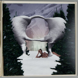 V (Female Nude Manikin Beneath A White Sculpture Between Spruces )