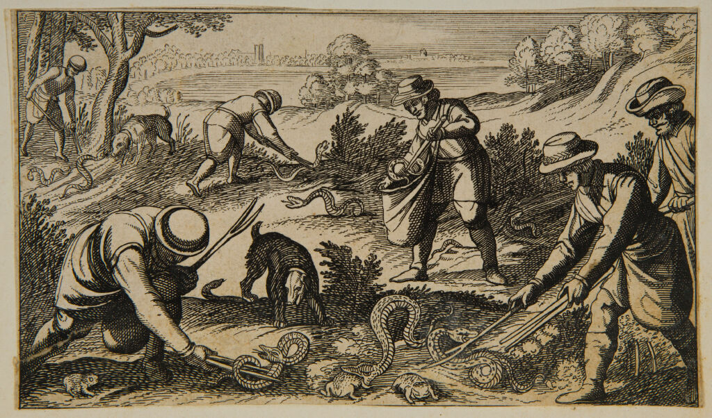 Hunters Capturing Snakes