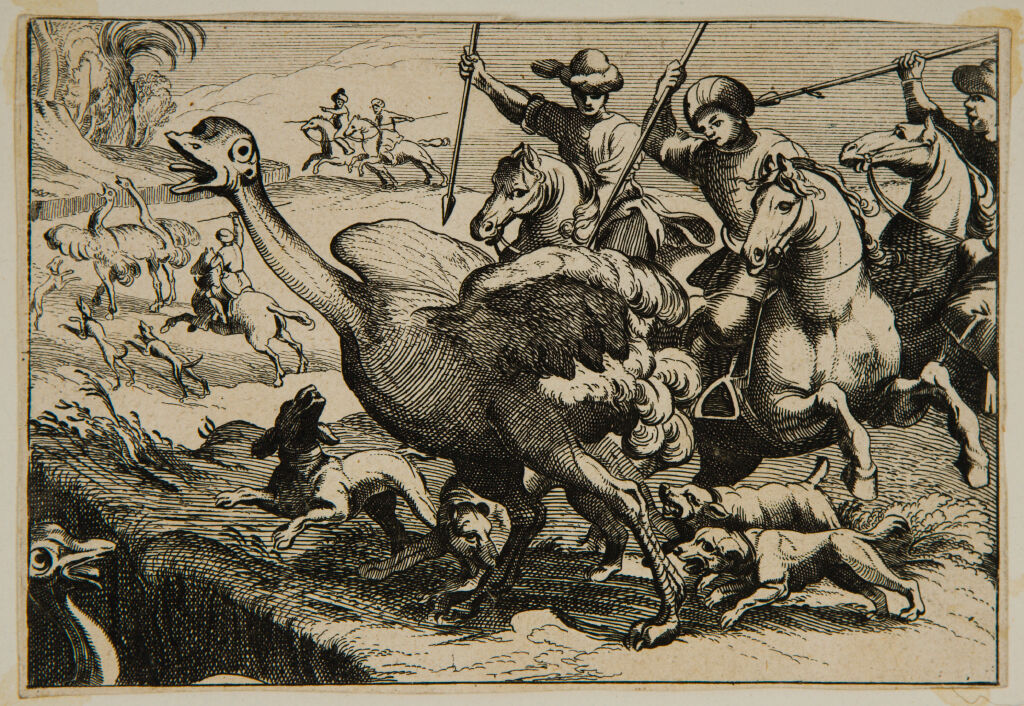 Men And Dogs Hunting Ostriches