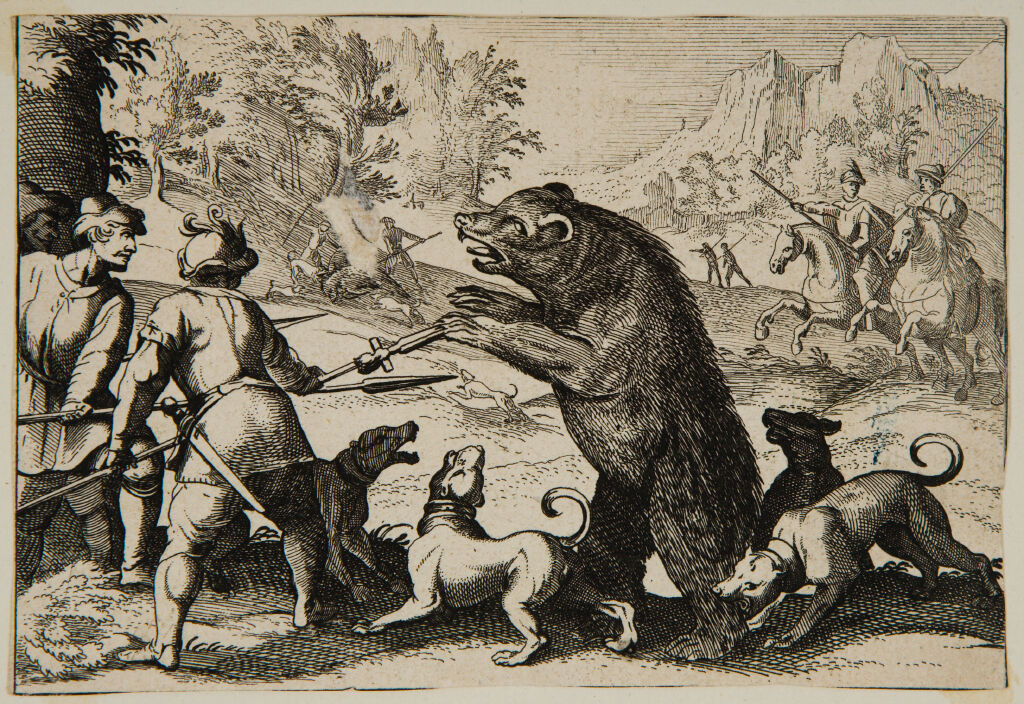 Men On Foot And Dogs Fighting A Large Bear