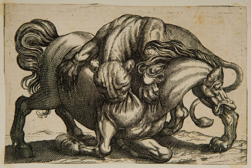 A Lioness Attacking A Horse