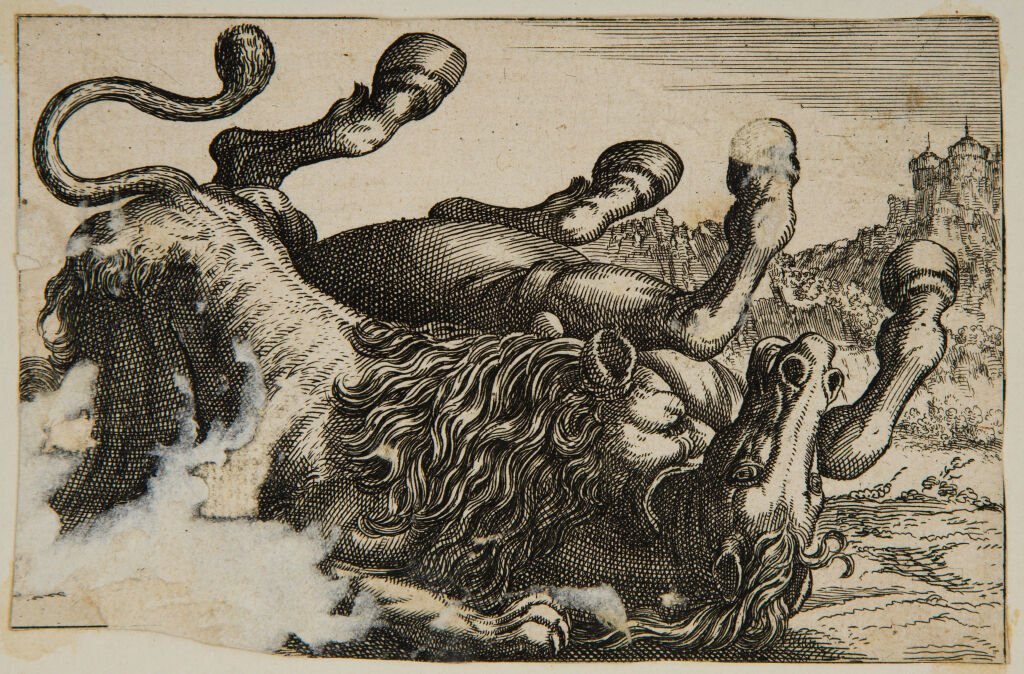 A Lion Attacking A Supine Horse