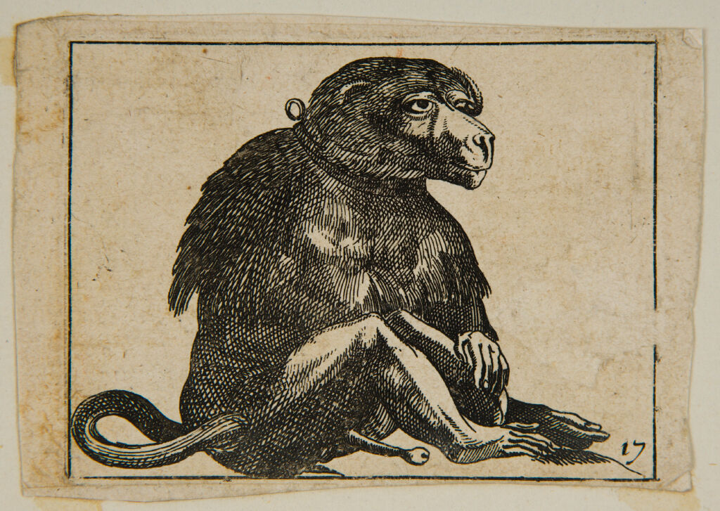 Seated Monkey