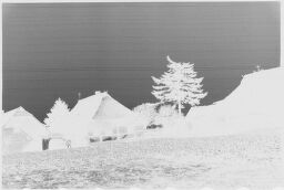[Long Range View Of Rustic Buildings And Tree]