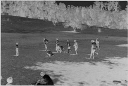 [Young Men And Women Playing Games On Large Lawn]