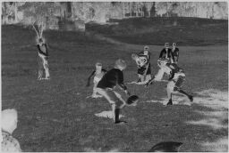 [Young Men And Women Playing Games On Large Lawn]