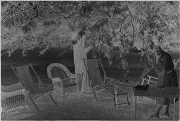 [Julia Feininger Setting Up A Garden Party]