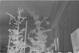 [Un-Decorated Christmas Tree]