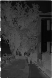 [Laurence Feininger Walking Down Street, Plymouth, Massachusetts]